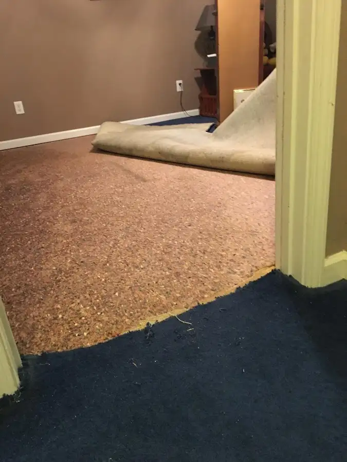 Carpet pad removal revealing water damage during Water Mitigation Services in Welby