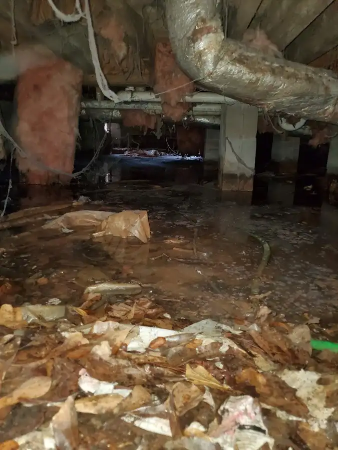 Crawl space flood assessment for Commercial Water Damage Restoration in Welby