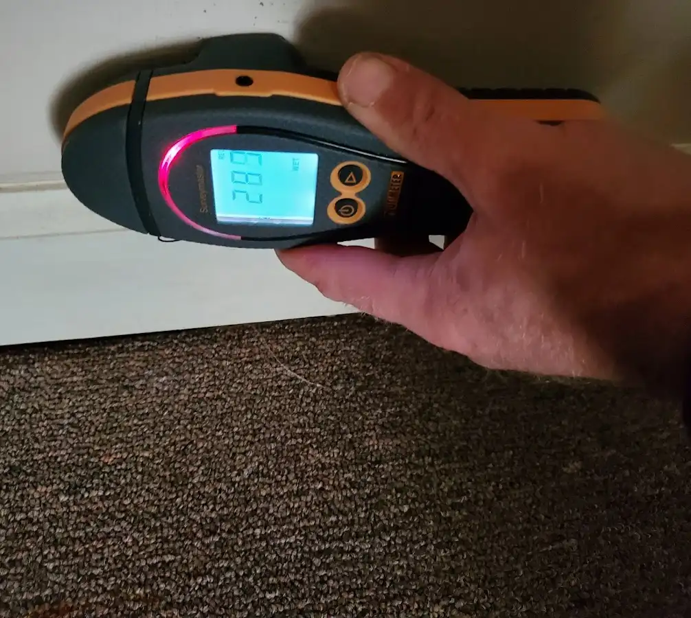 Moisture detection at baseboard during Sewage Cleanup & Sanitation in Welby